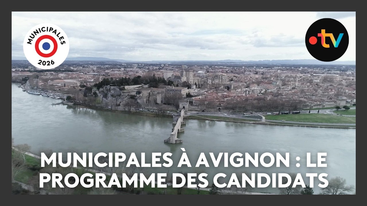 Municipales 2026 à Avignon : sécurité et transports, le programme des candidats