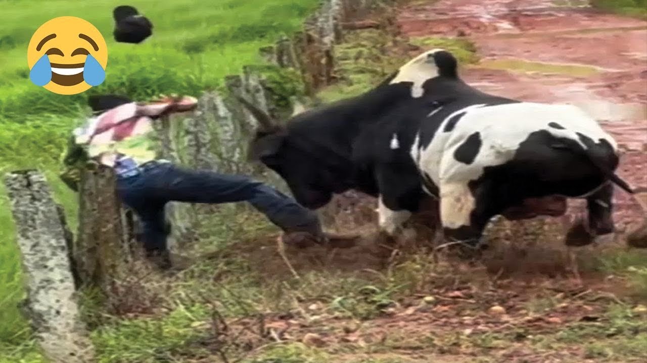 &ldquo;Best Fails Compilation &ndash; You Won&rsquo;t Stop Laughing!&rdquo; | Fail Zone 
