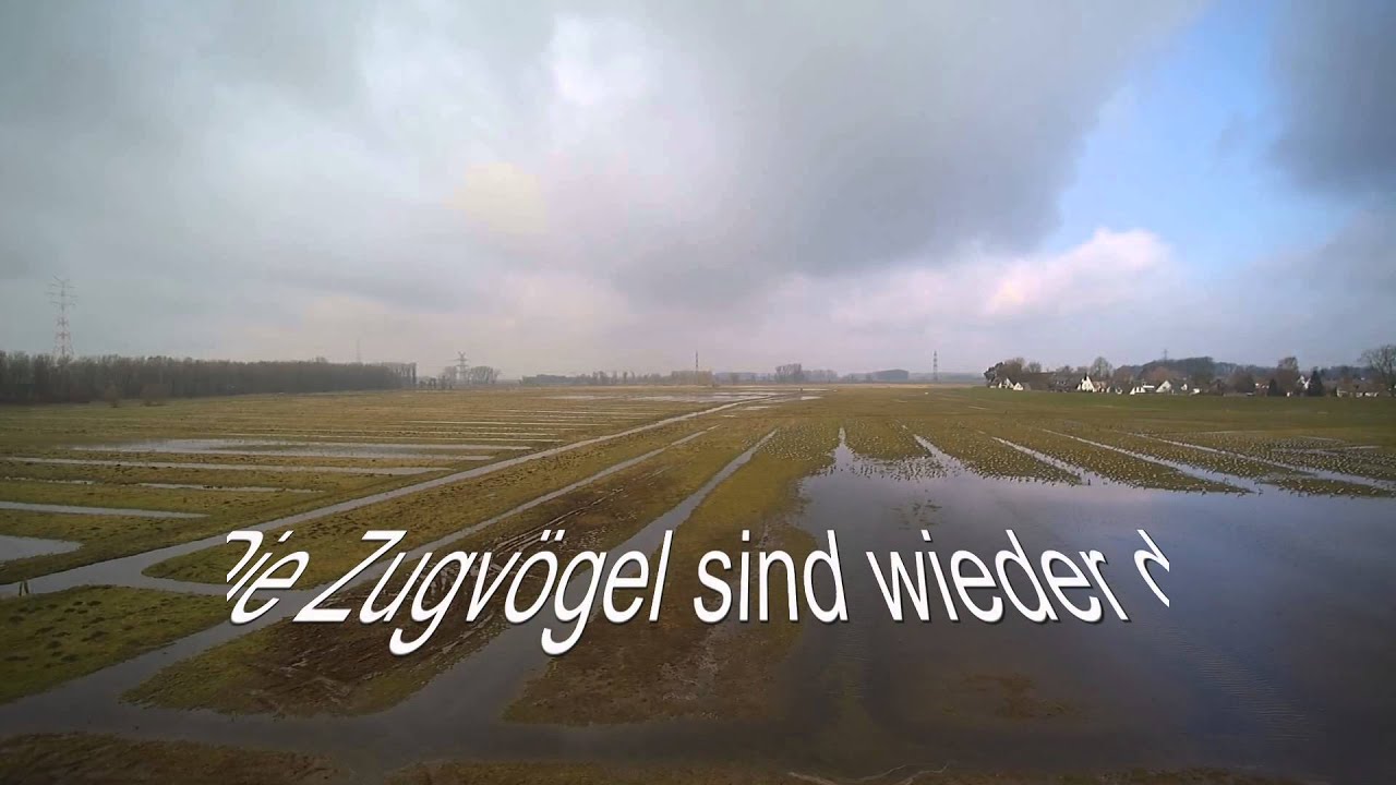 Haseldorf Hafen und Teiche