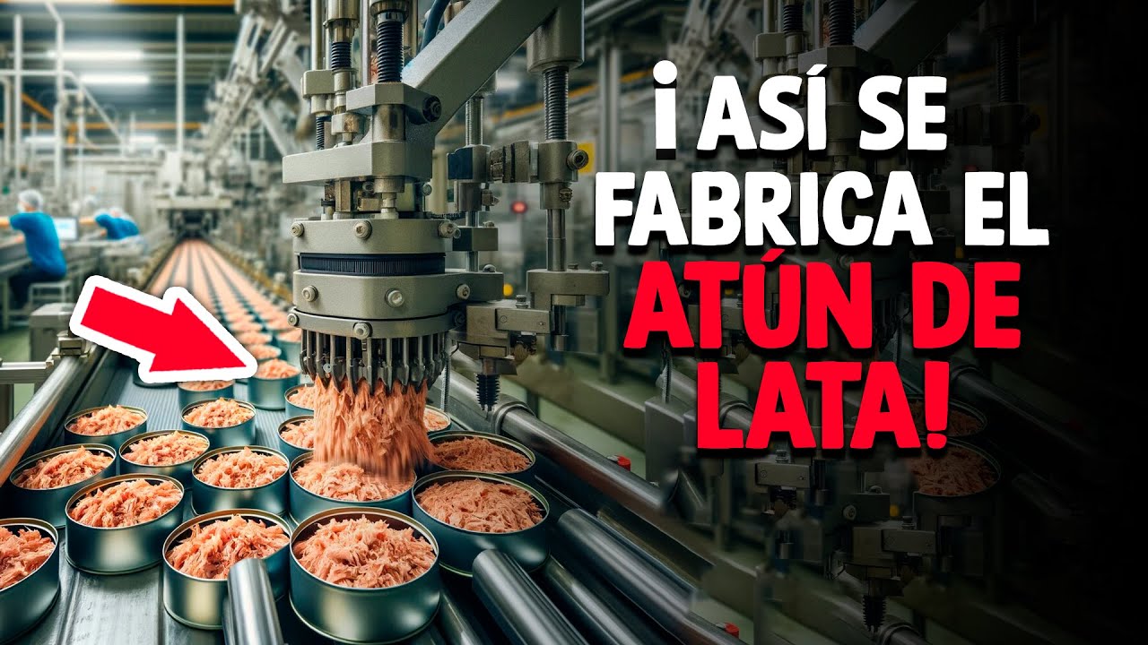 &iquest;C&oacute;mo Se Hace El At&uacute;n En Lata? [Proceso En F&aacute;brica]