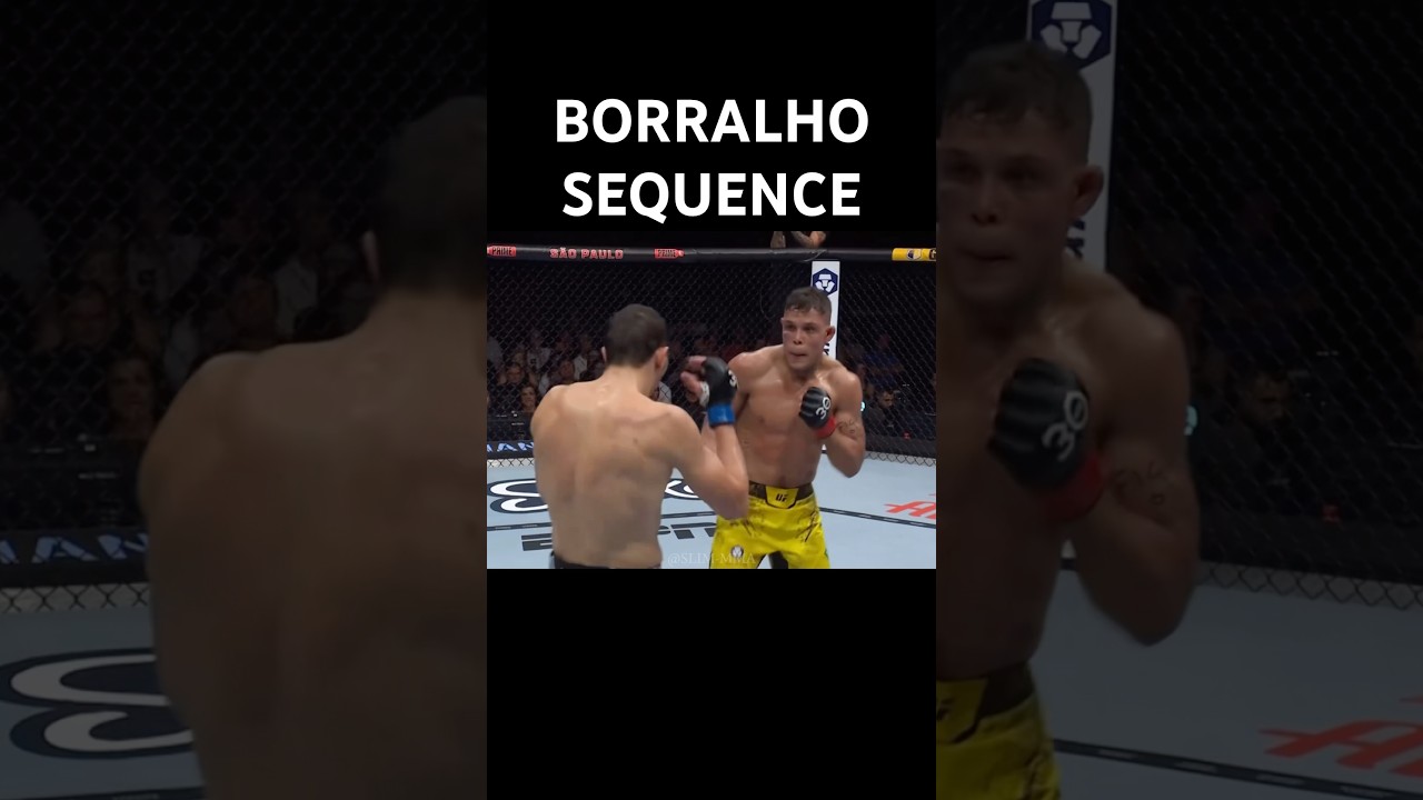 Caio Borralho sequence