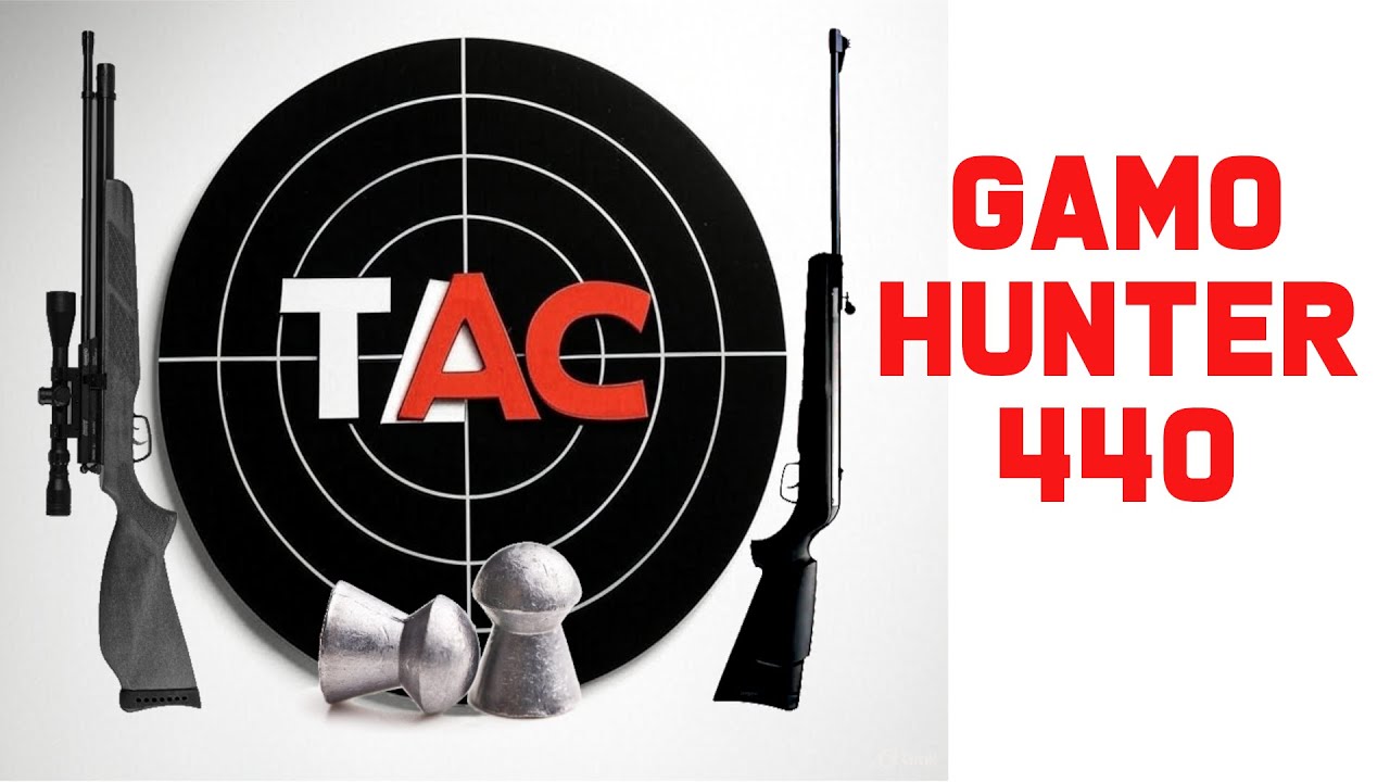 GAMO HUNTER 440 - REVISION EN SALA