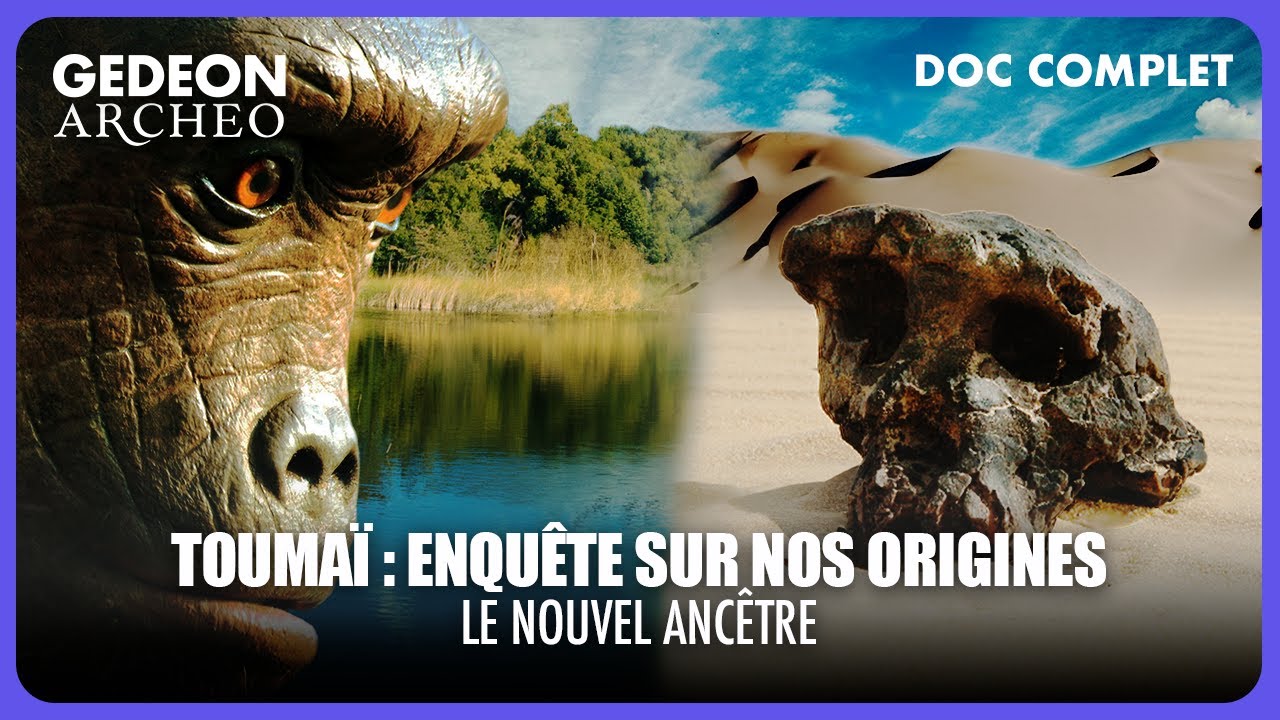 Toumaï, le plus ancien d'entre nous | DOC COMPLET