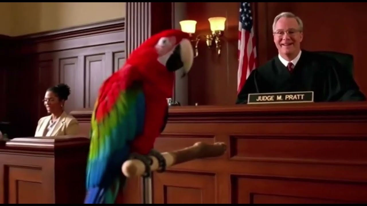 Talking Parrot Outsmarts a Cop in Seconds 🤯