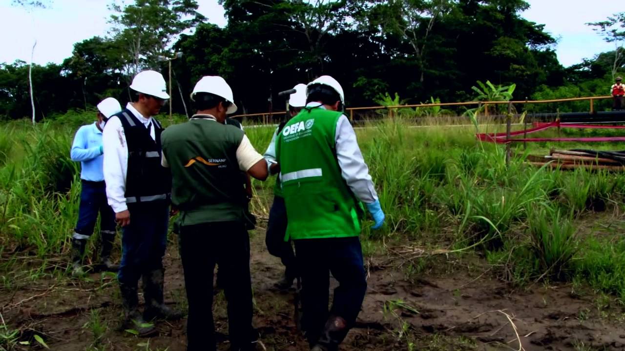 Monitoreo Ambiental - Saramuro - Saramurillo