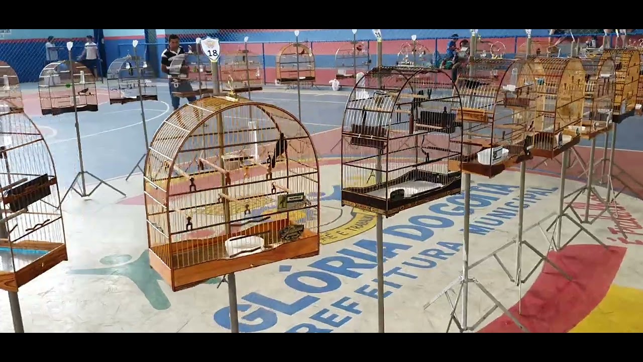 Torneio, Campeonato de curió 2022