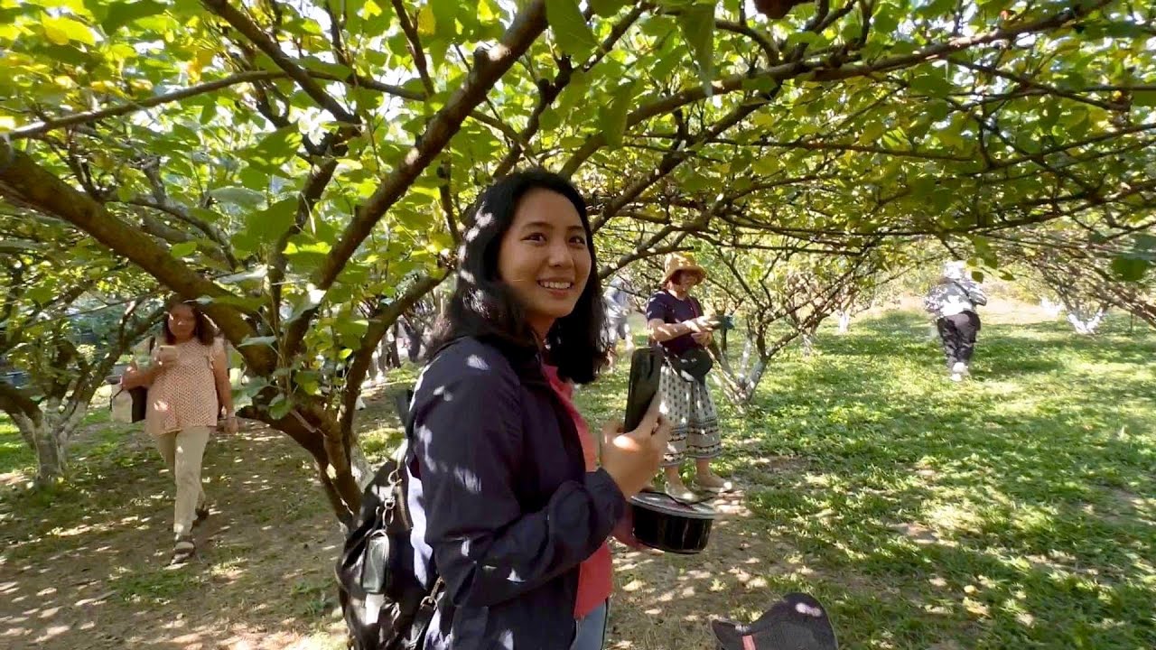 Science based Mulberry and Vanilla farming in Thailand