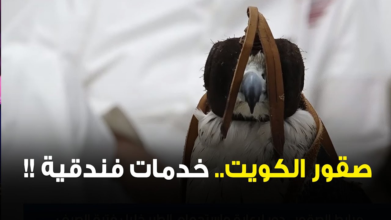 مرابط الصقور.. دور لرعاية واستجمام الطير خلال فترة الصيف