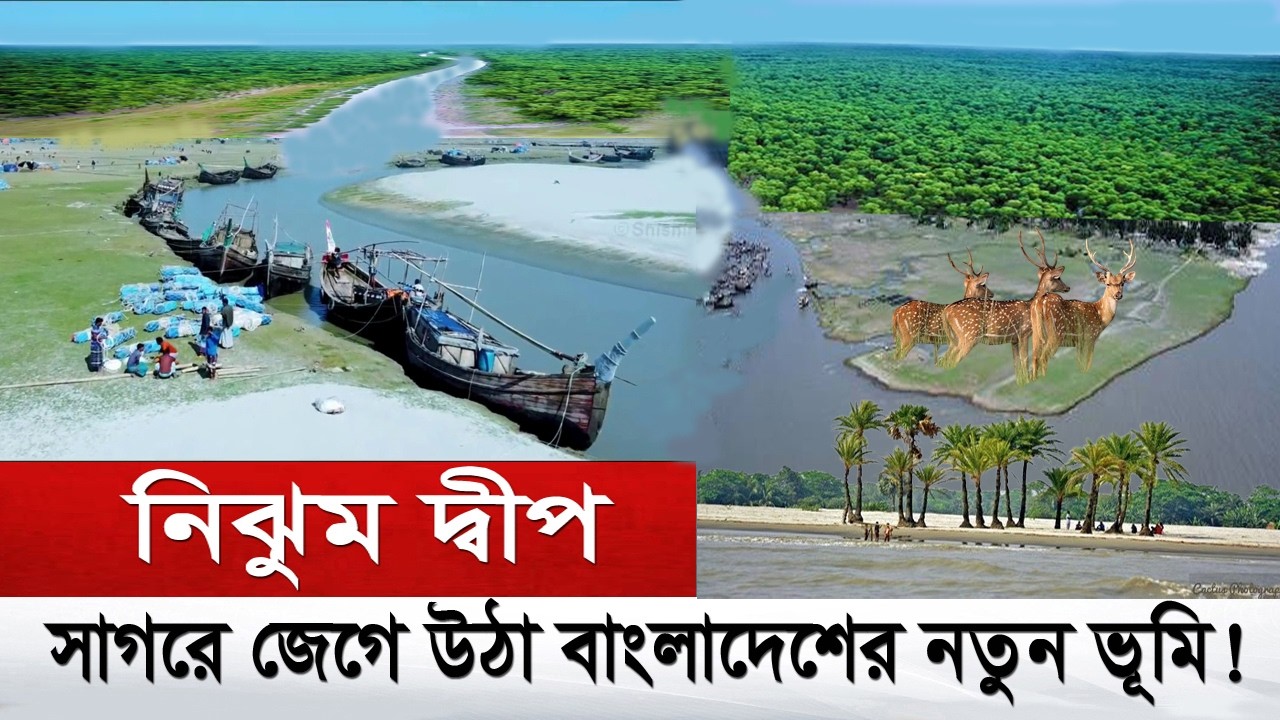 নিঝুম দ্বীপ : সাগরে জেগে উঠা আরেক সুন্দরবন !! Nijhum Dwip, beautiful island in Bangladesh