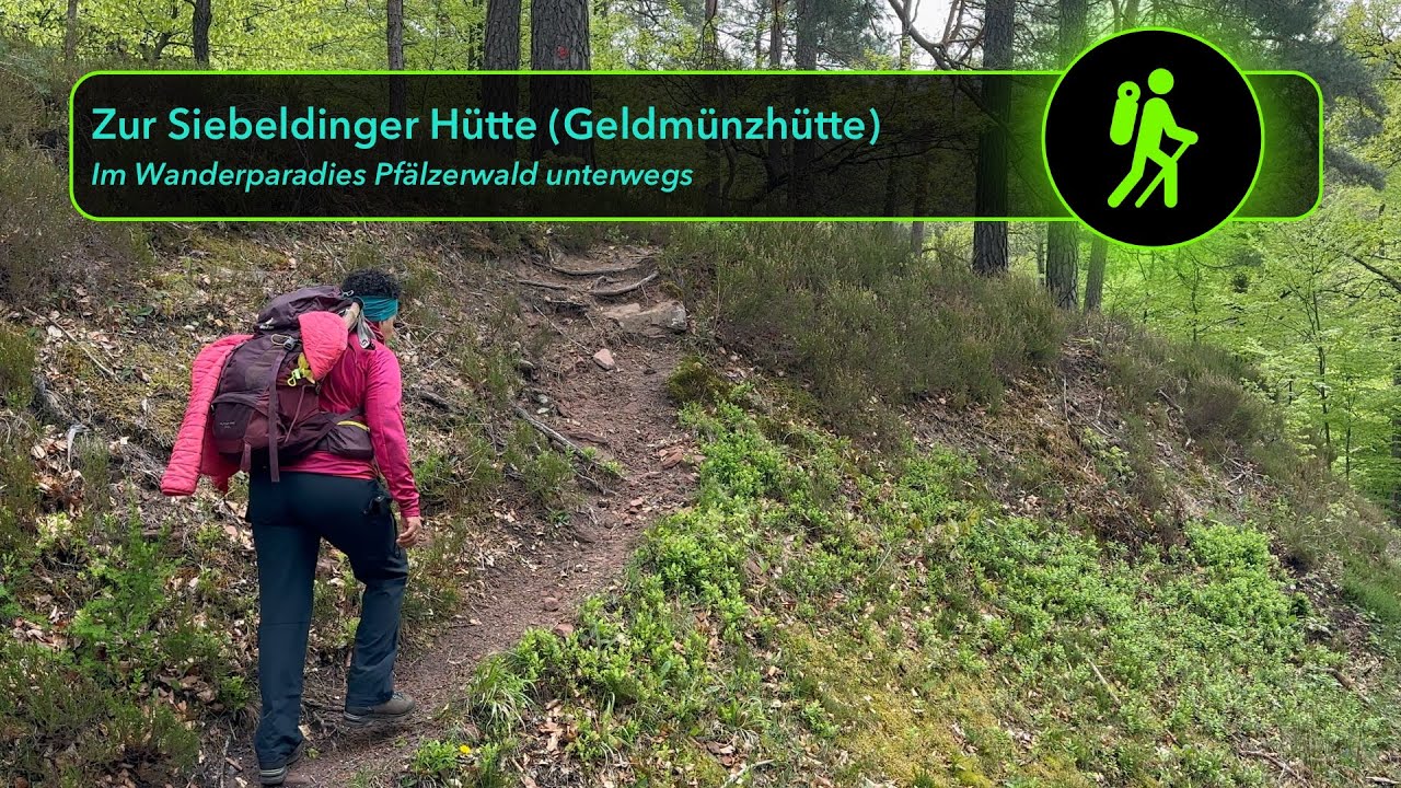 Abenteuer Pfälzerwald: Eußerthal - Siebeldinger Hütte - Rundwanderung