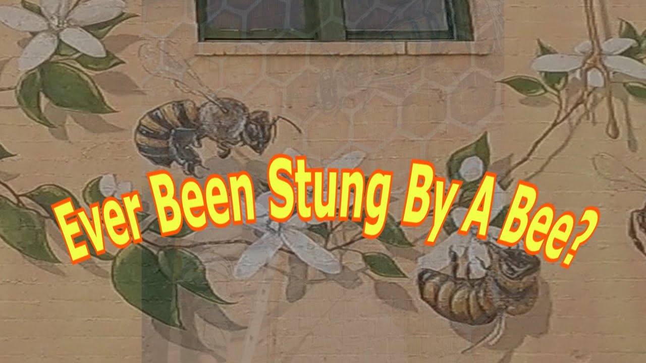 My First Adventure Lab - coincidently in Labelle Florida. Learning the history of the community.