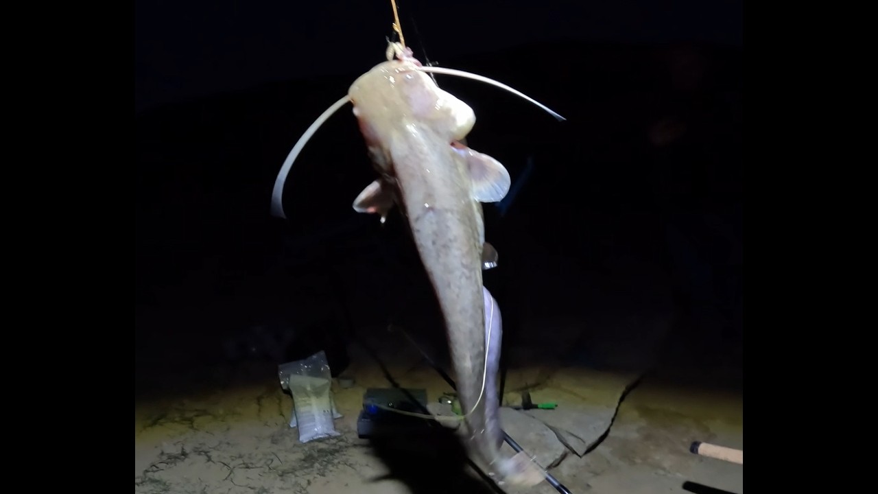 Риболов на язовир Студен Кладенец 2024. Част първа . Fishing at Studen Kladenets Dam 2024  Part one