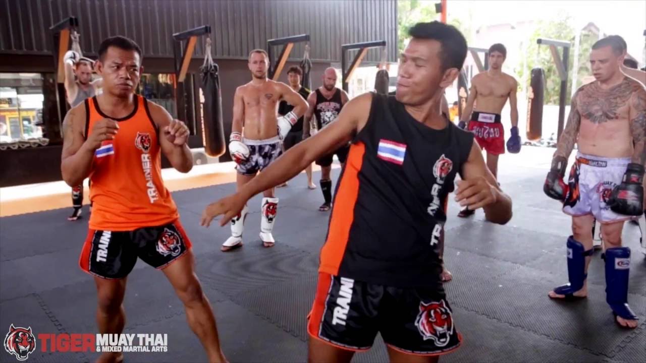 10 Muay Thai Techniques