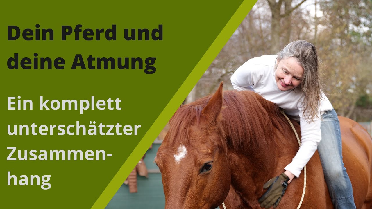 Angst beim Reiten - Wirkung deiner Atmung auf´s Pferd