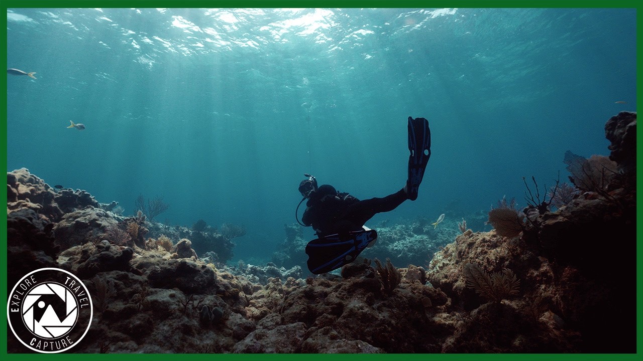 2025 Dive highlight reel Key Largo, Florida