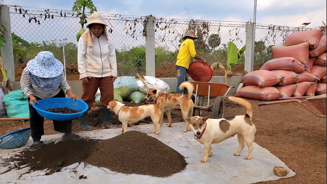 690. Life in the Cambodian Countryside.
