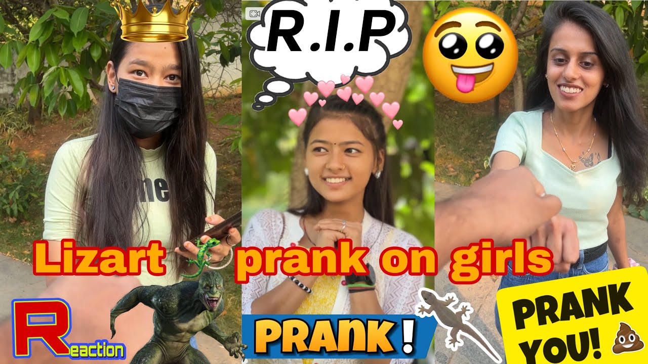 Prank 🥰//😂 lizard 🦎 prank on girls /reaction video 😂//toxicbanda13 /cute girls 