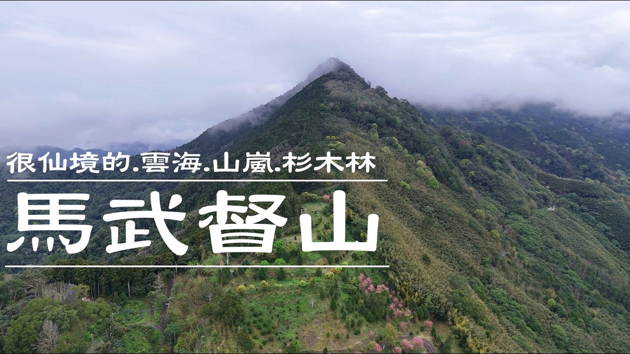 | 仙境的雲海山嵐杉木林 | 馬武督山 | 馬武督山西南峰 |  爬山 ｜ 健行 ｜ 戶外運動 ｜ 郊山 ｜