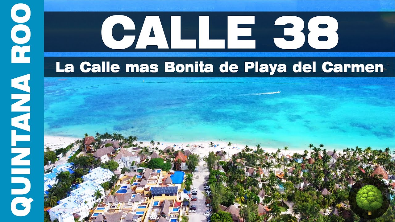 💚 La Calle mas BONITA de todo Playa del Carmen 🌳 (La Calle 38)
