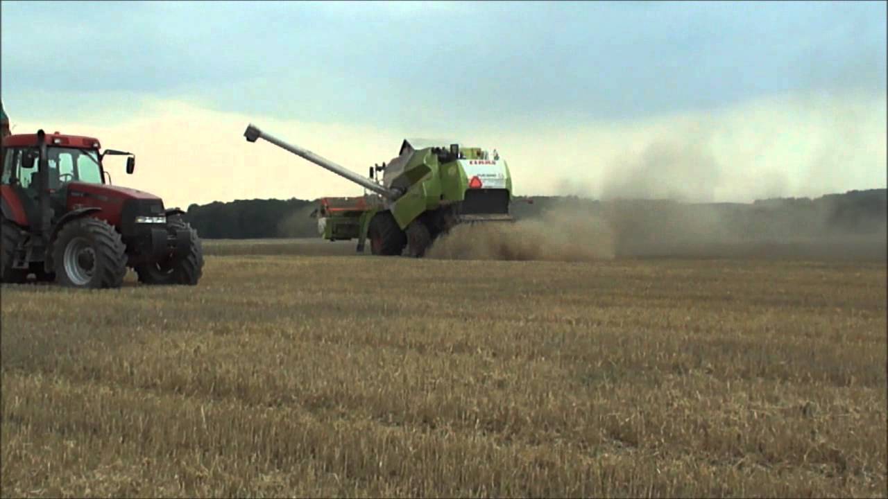 Claas Tucano 450 - Żniwa 2011