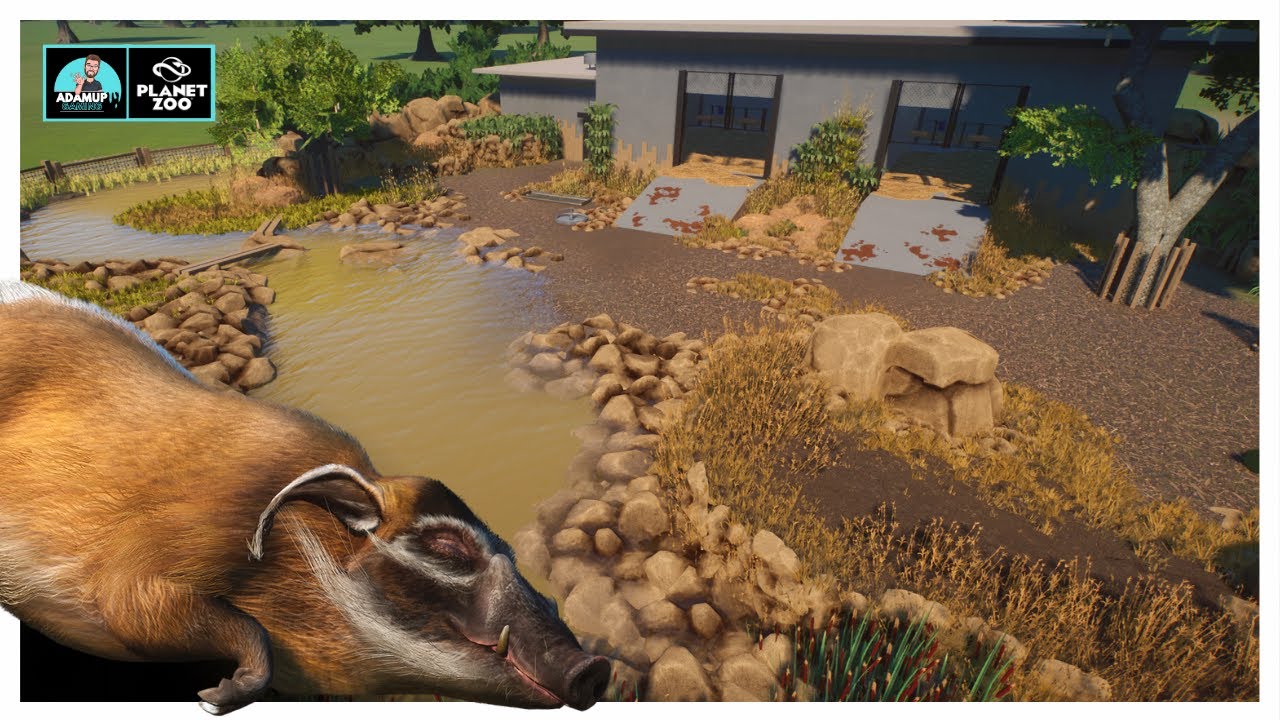 Red River Hog Enclosure In Planet Zoo - Habitat Build | Tropical Pack |