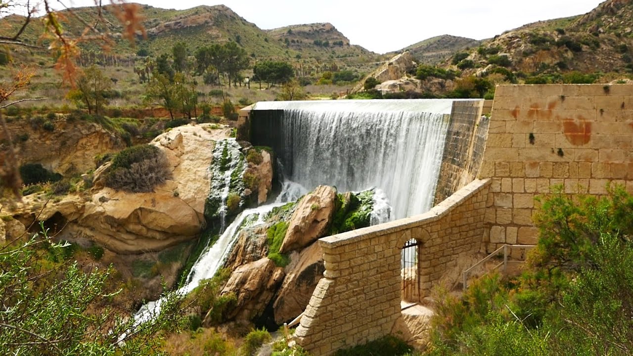 Pantano de Elche