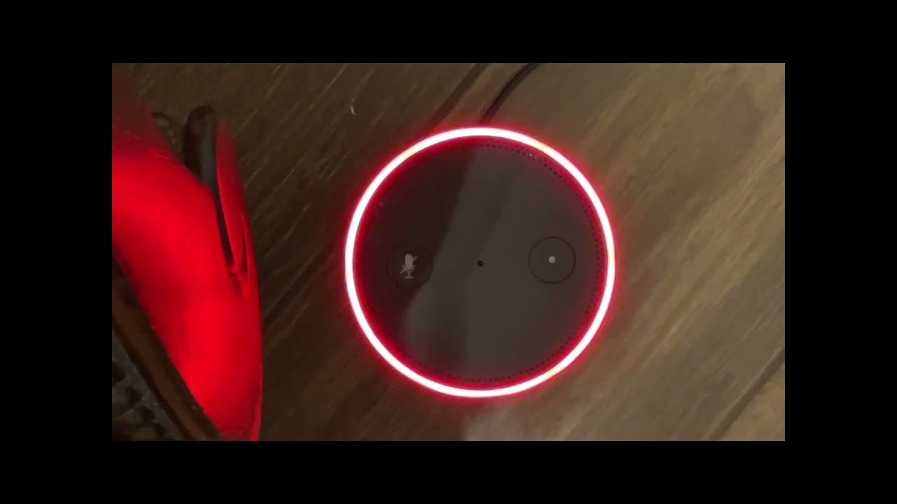 Amazon Alexa glitch #alexa