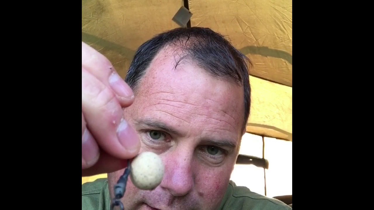 Upper Tamar carp fishing review *warning contains swearing*