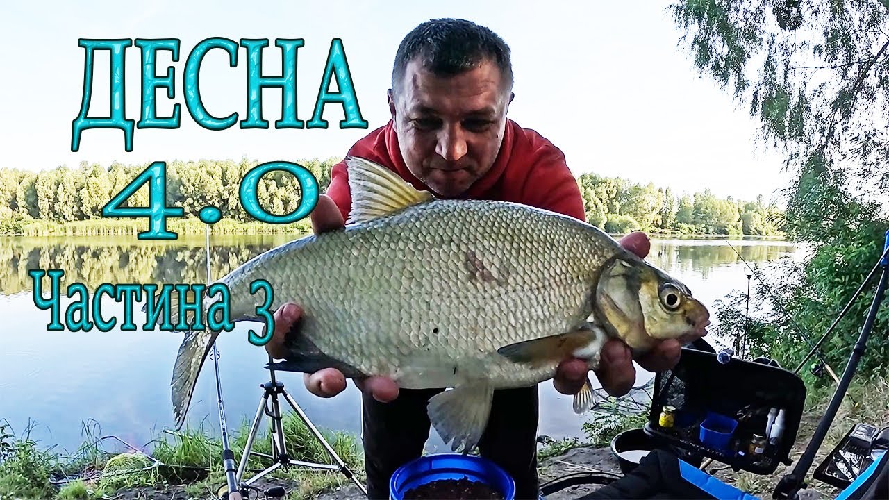 Лящ на Десні. Рибалка за два дні. Частина 3. Десна 4.0 #риболовля #feeder #рибалка #лящ #десна