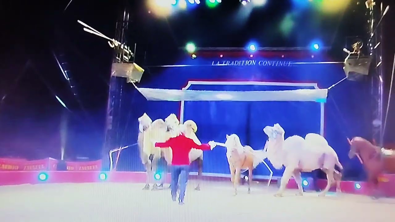 Le cirque Claudio Zavatta 2025