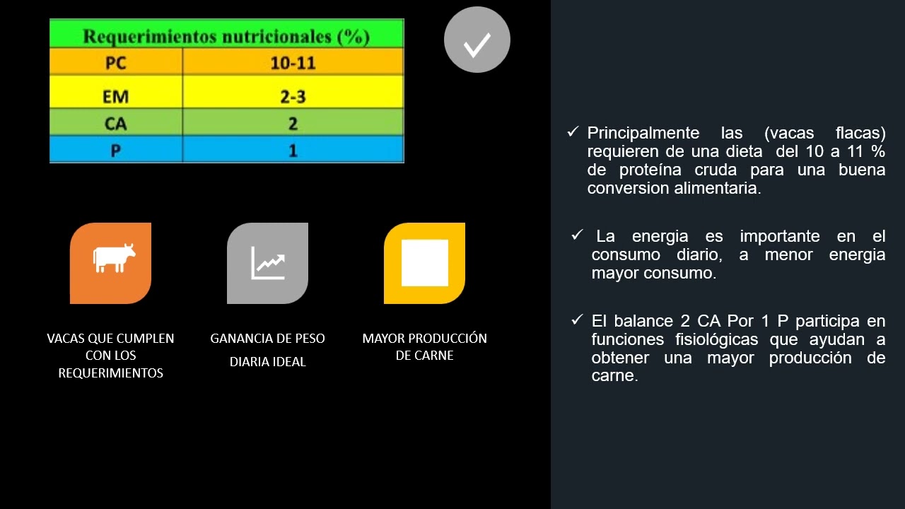 Formulación de dieta para engorda de Bovinos (vacas)