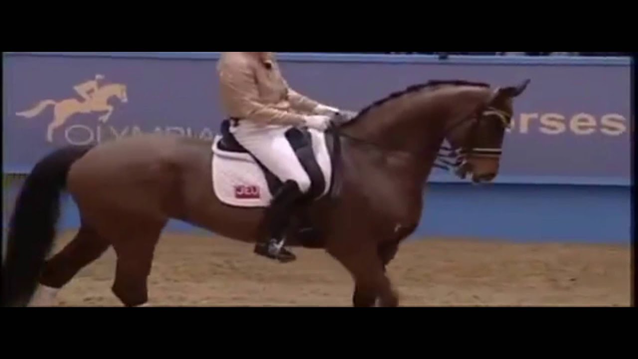 Edward Gal's Schooling Progam