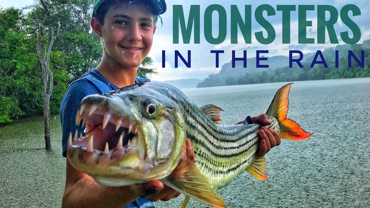 Monster Tiger Fish and Bream (Tilapia/Kurper) Combo While Fishing in the Rain!