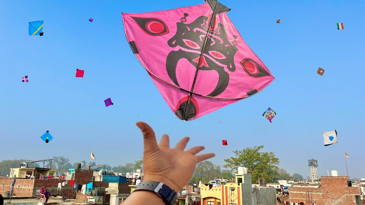 Caught Kites On Roof | Kite Catching | Kite Looting New Video |