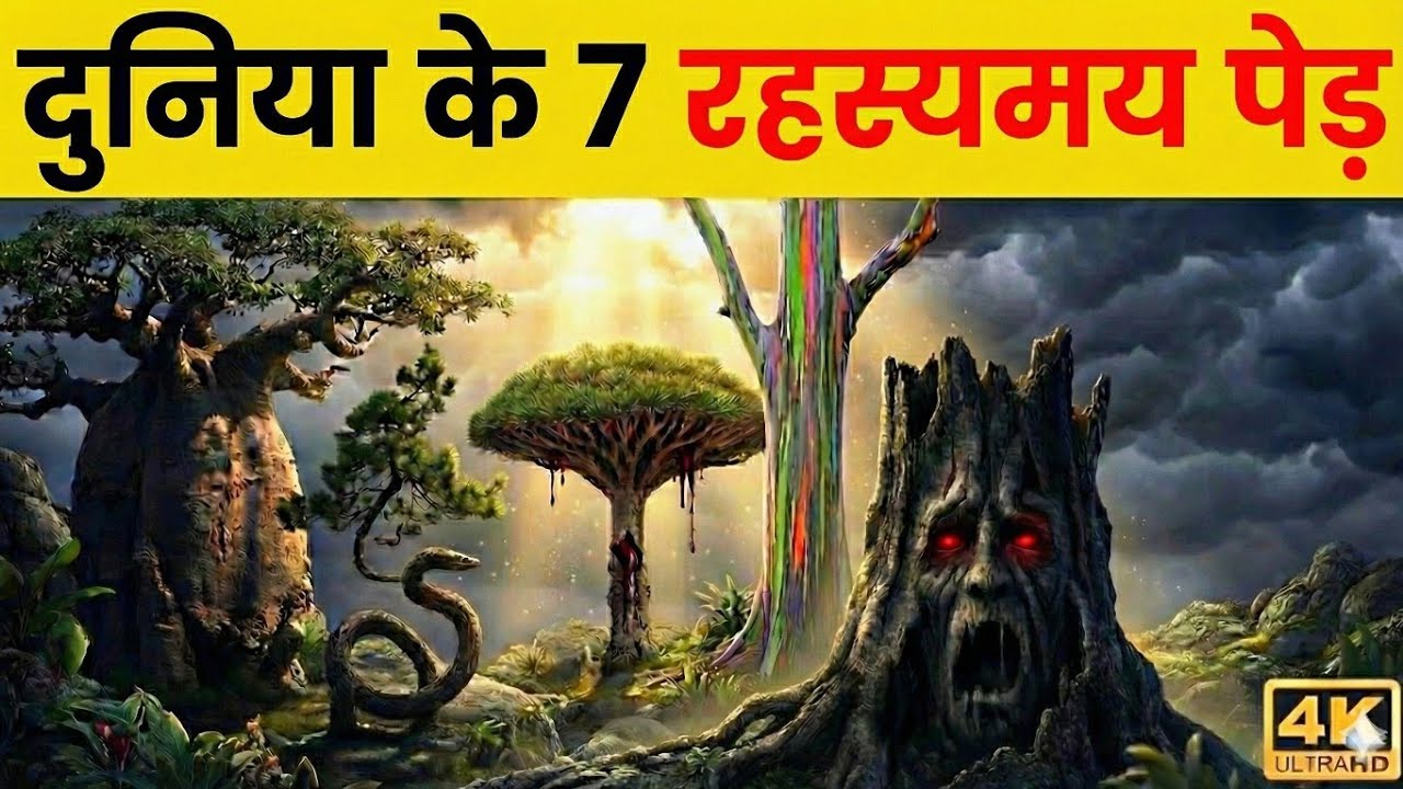दुनिया के सबसे अजीब और रहस्यमय पेड़ | World’s Most Mysterious Trees