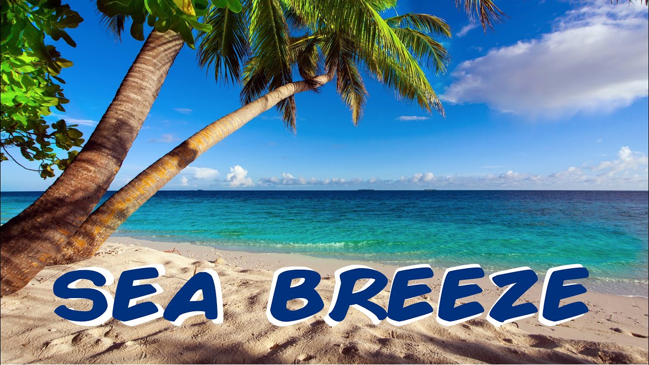 ОБЗОР AFZAL SEA BREEZE | Обзоры вкусов | hookahbuzz #shorts