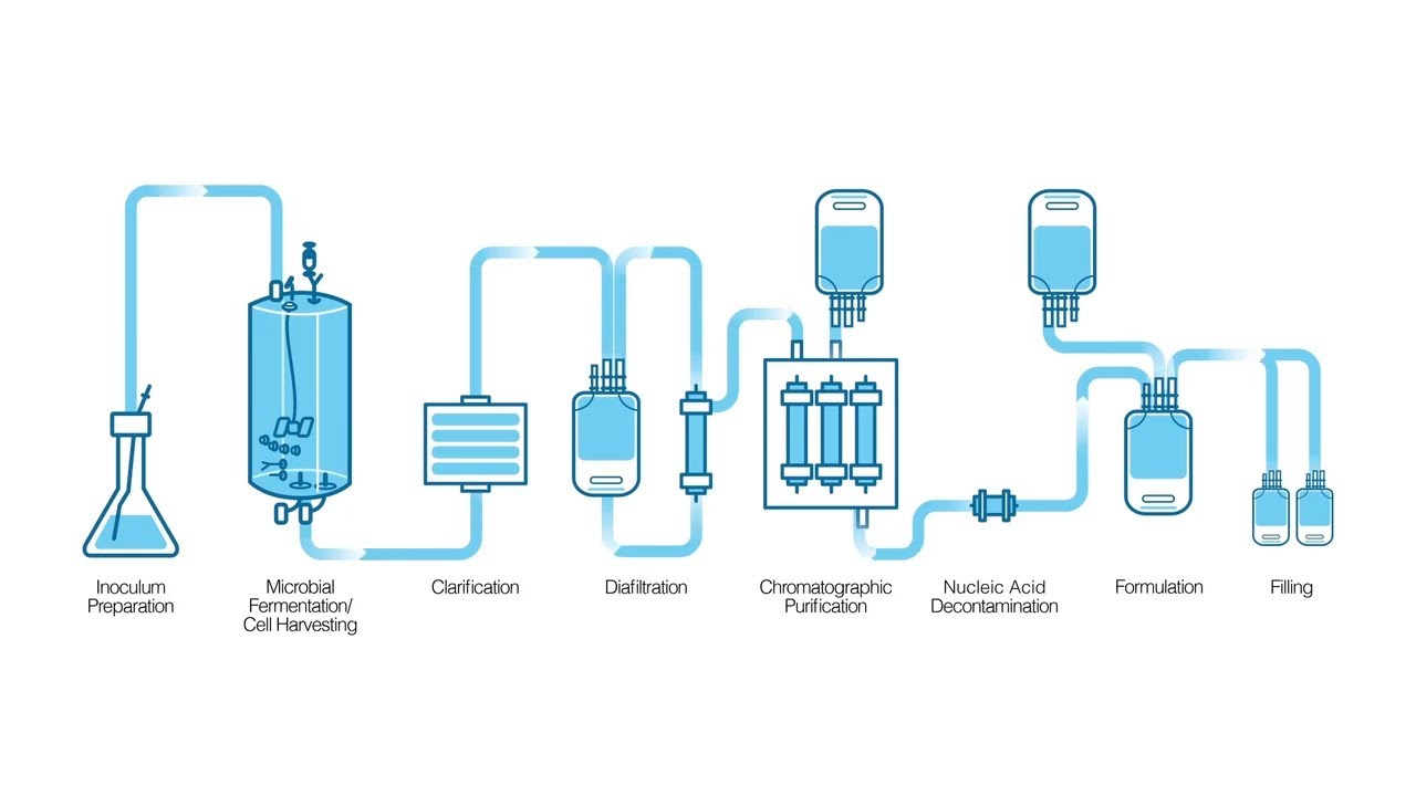 How Single-Use Systems Support PCR Enzyme Manufacturing