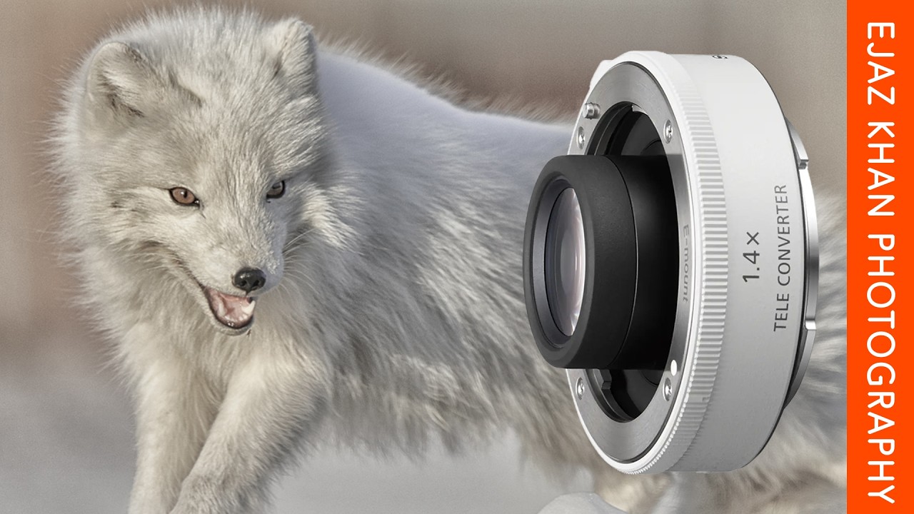 The Truth About Teleconverters  Pros, Cons, and Proper Use!