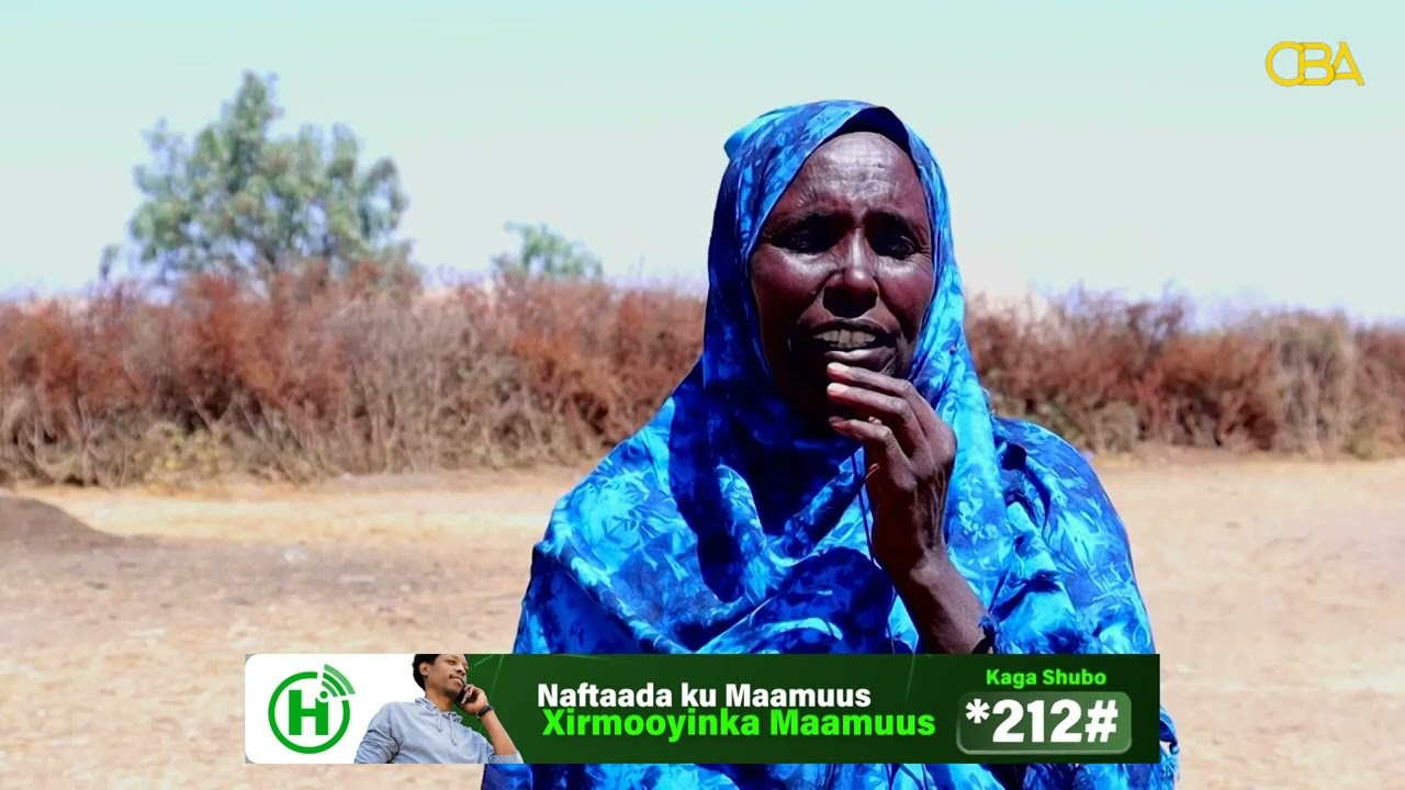 Warbixin ku saabsan xoolo-dhaqato usoo hayaamay Gabiley abaaraha dartood