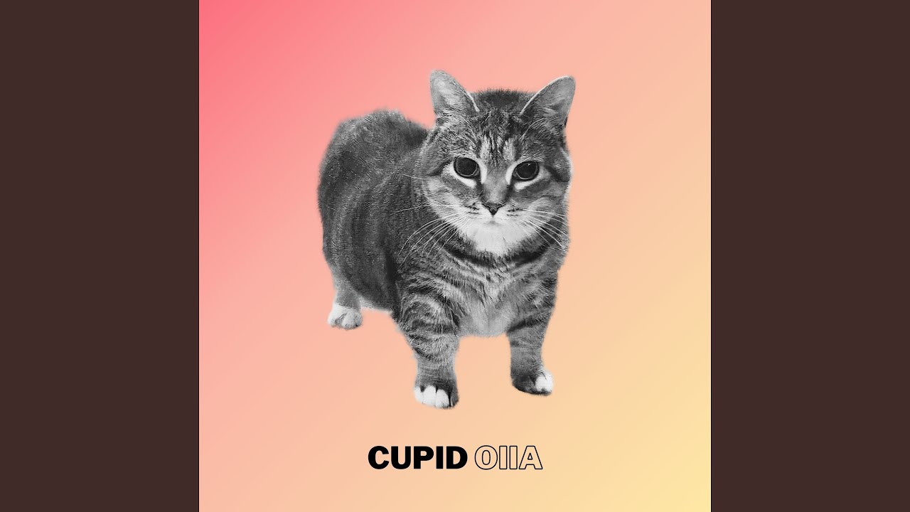 Cupid Oiia
