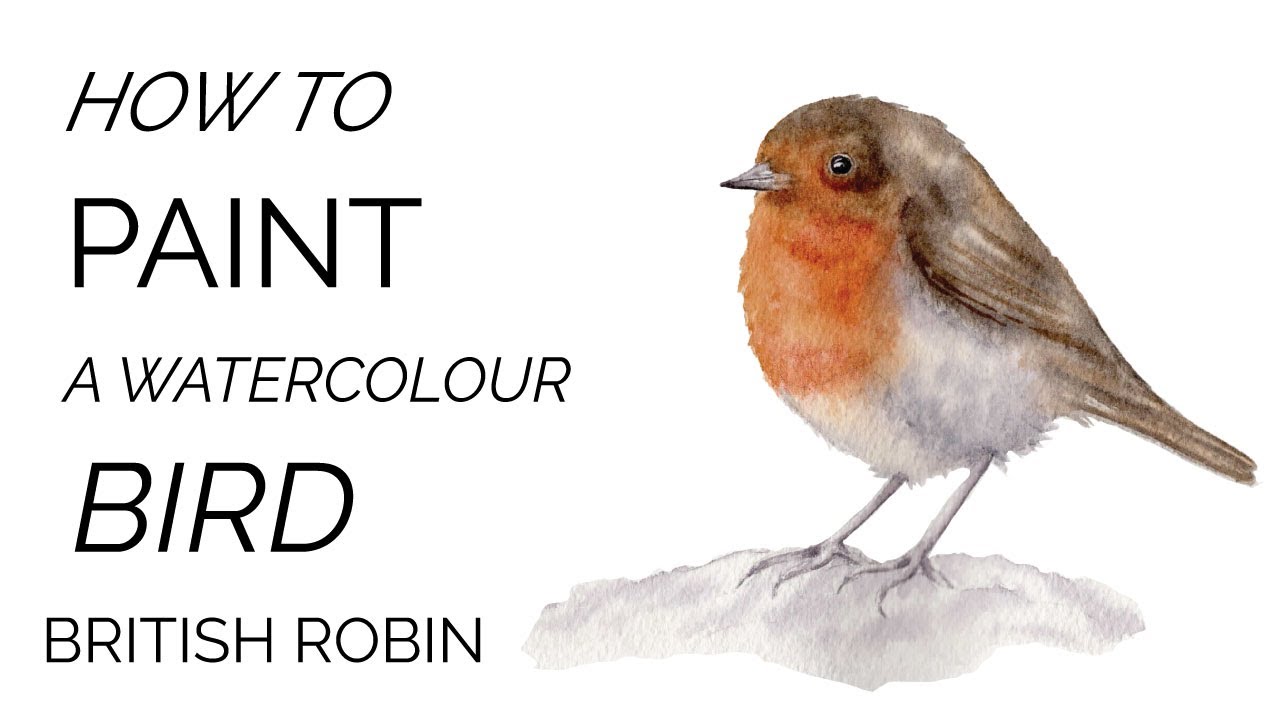 How to Paint Watercolour Birds | British Robin