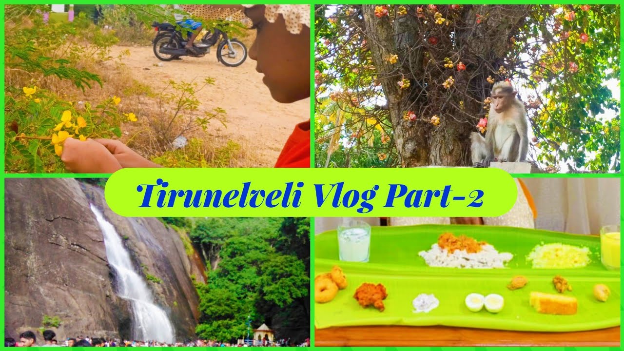 Trip To Tirunelveli|Tirunelveli Vlog|Trip To Courtallam|Special lunch Preparation