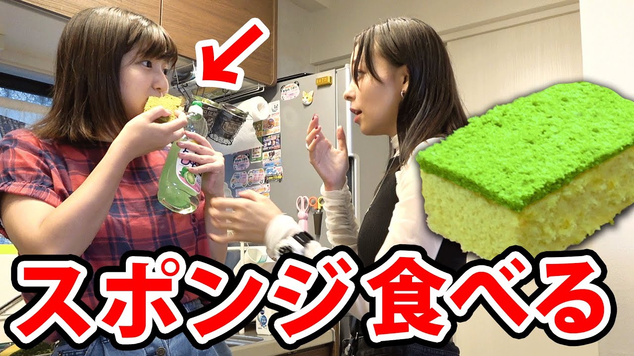 【どっきり】ジェニーちゃんは、キッチンのスポンジを食べ始めたらどんな反応をするのか！？/ EATING Sponge Funny Pranks