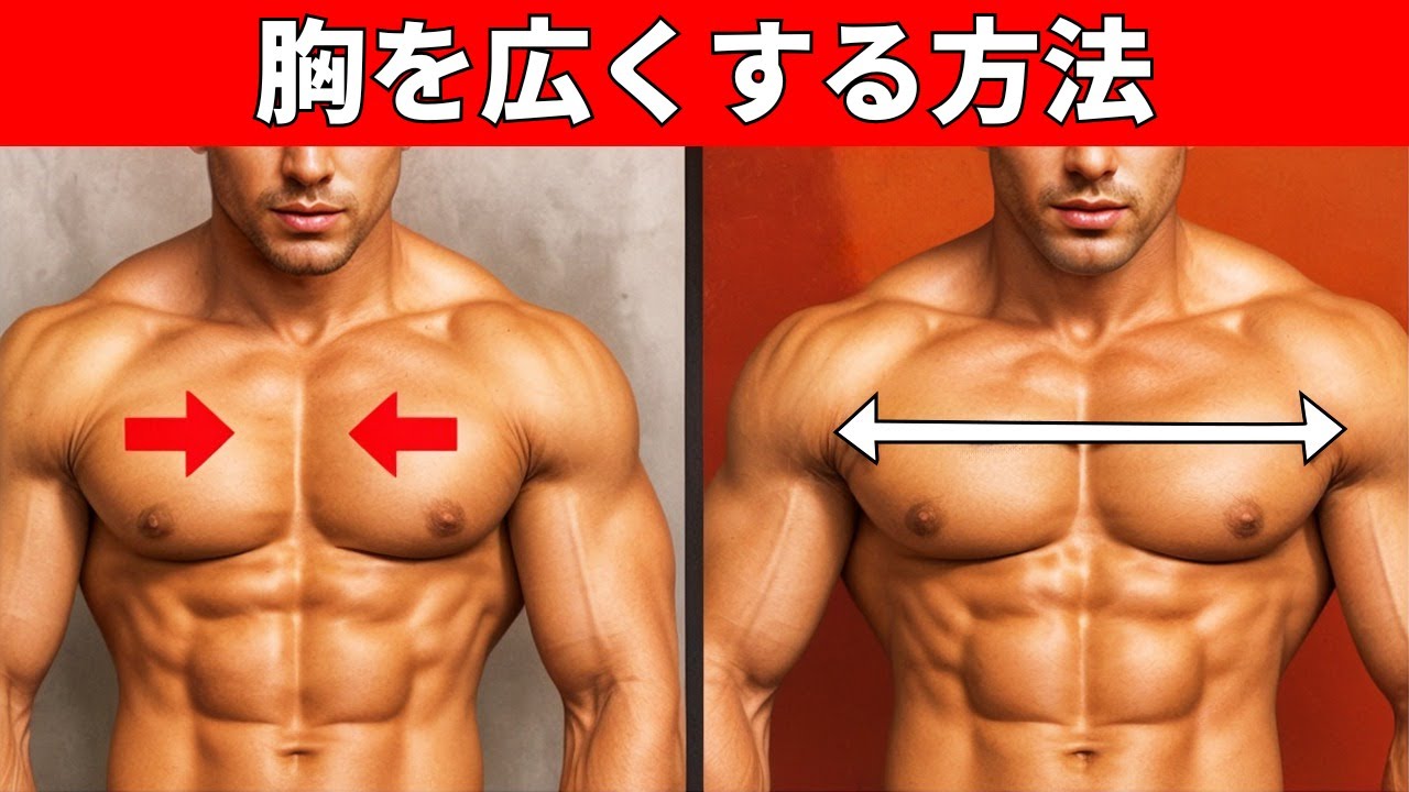 唯一にして最強！広く、くっきり深い胸板を作るために必要なのは、この4種目だけ！