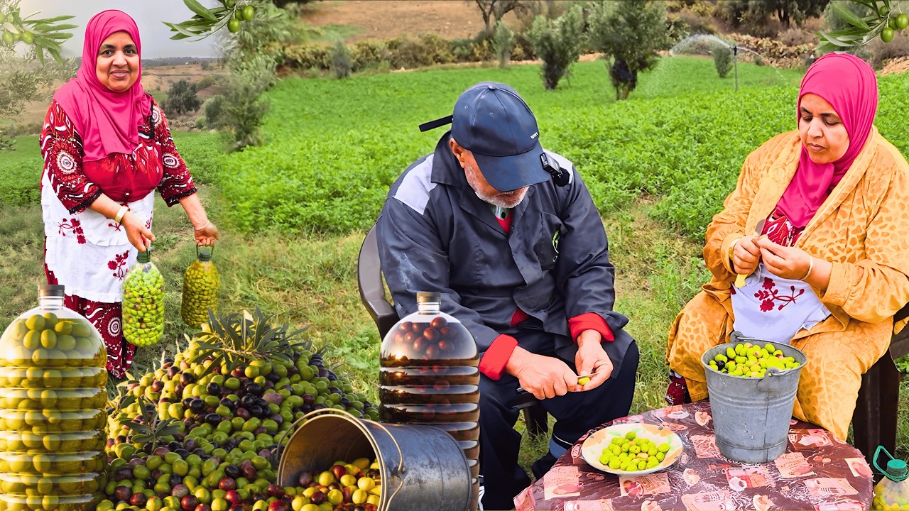خطأ صغير يخسّر الزيتون كامل! شوف الطريقة الصحيحة!