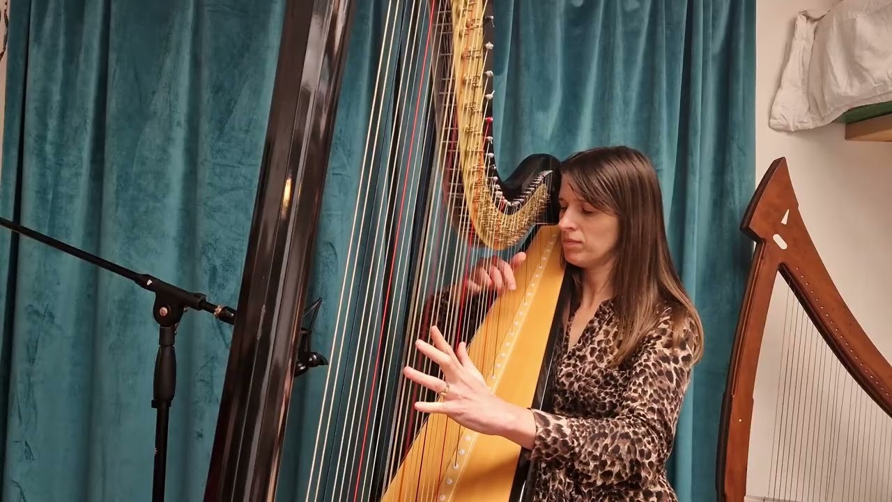 Symphony  - Clean Bandit - Harp Cover