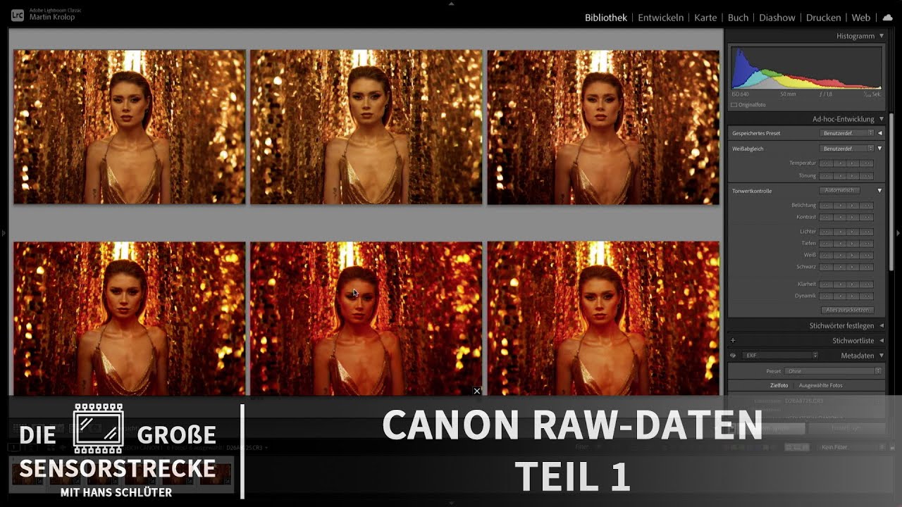 Die große Sensorstrecke - 15 - Canon RAW Daten - Teil 1 📷 Krolop&Gerst