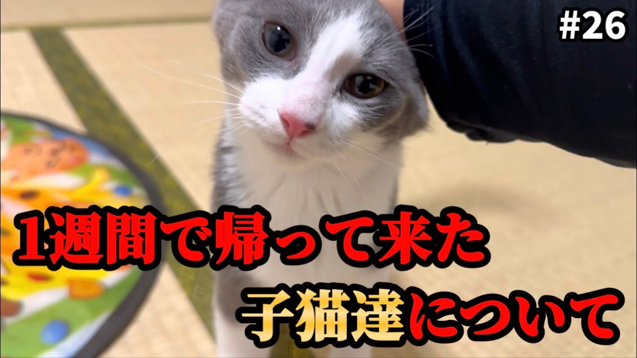 ご報告があります