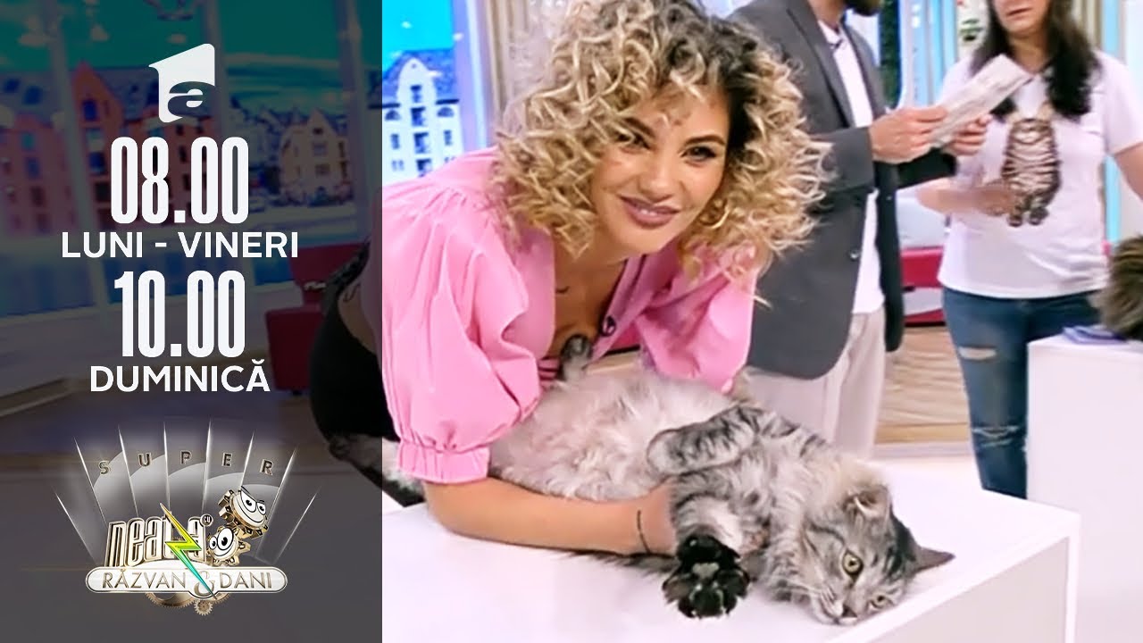 Reportaje Neatza | Cum recunoaștem celebra pisică din rasa Maine Coon