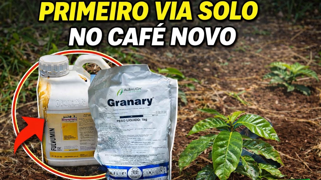 PRIMEIRO VIA SOLO NO CAFÉ NOVO – O QUE EU USEI!